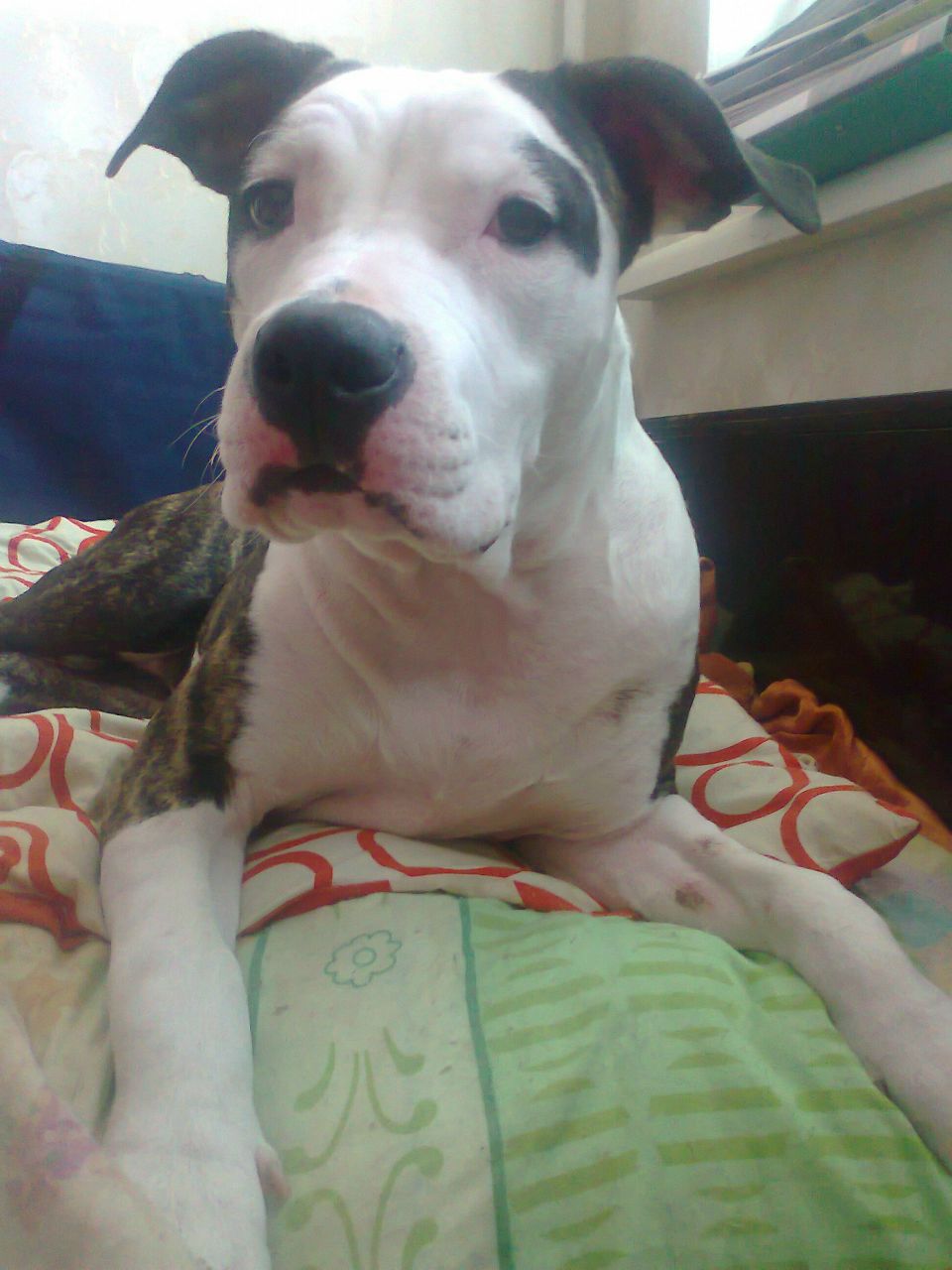 Кристина Макарова | Москва