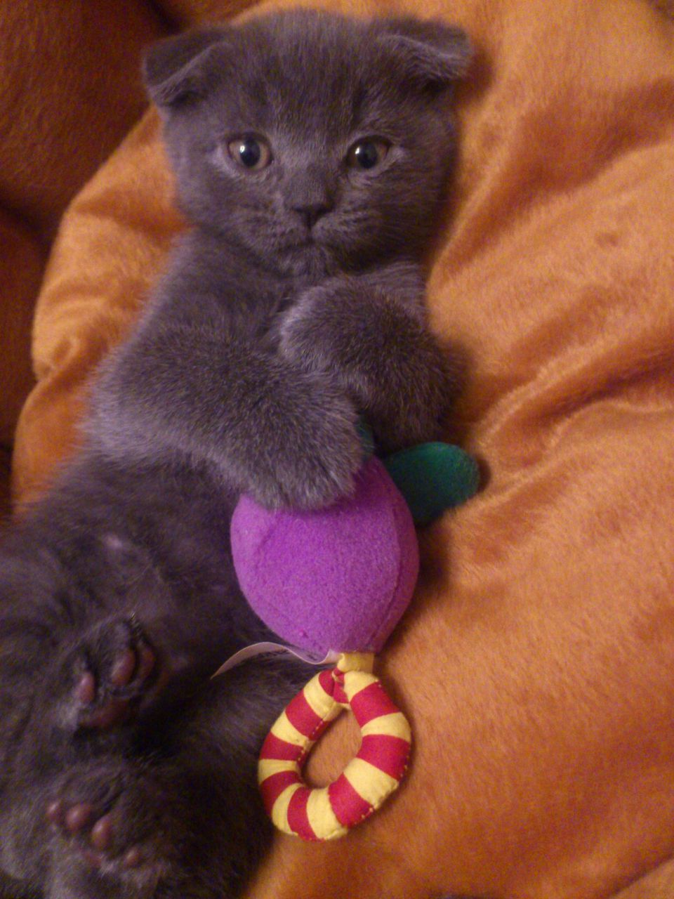 Артем Баркарь Евгеньевич | Санкт-Петербург