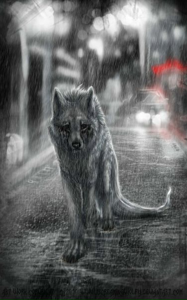 №14, Аминюшка Халикова, Ульяновск №14, Аминюшка Халикова, Ульяновск