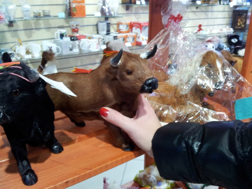 Андрей Михайлов | Мурманск