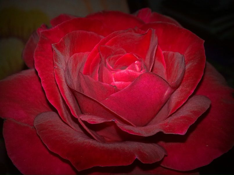 Olya Burjanova | Кропивницкий / Кировоград