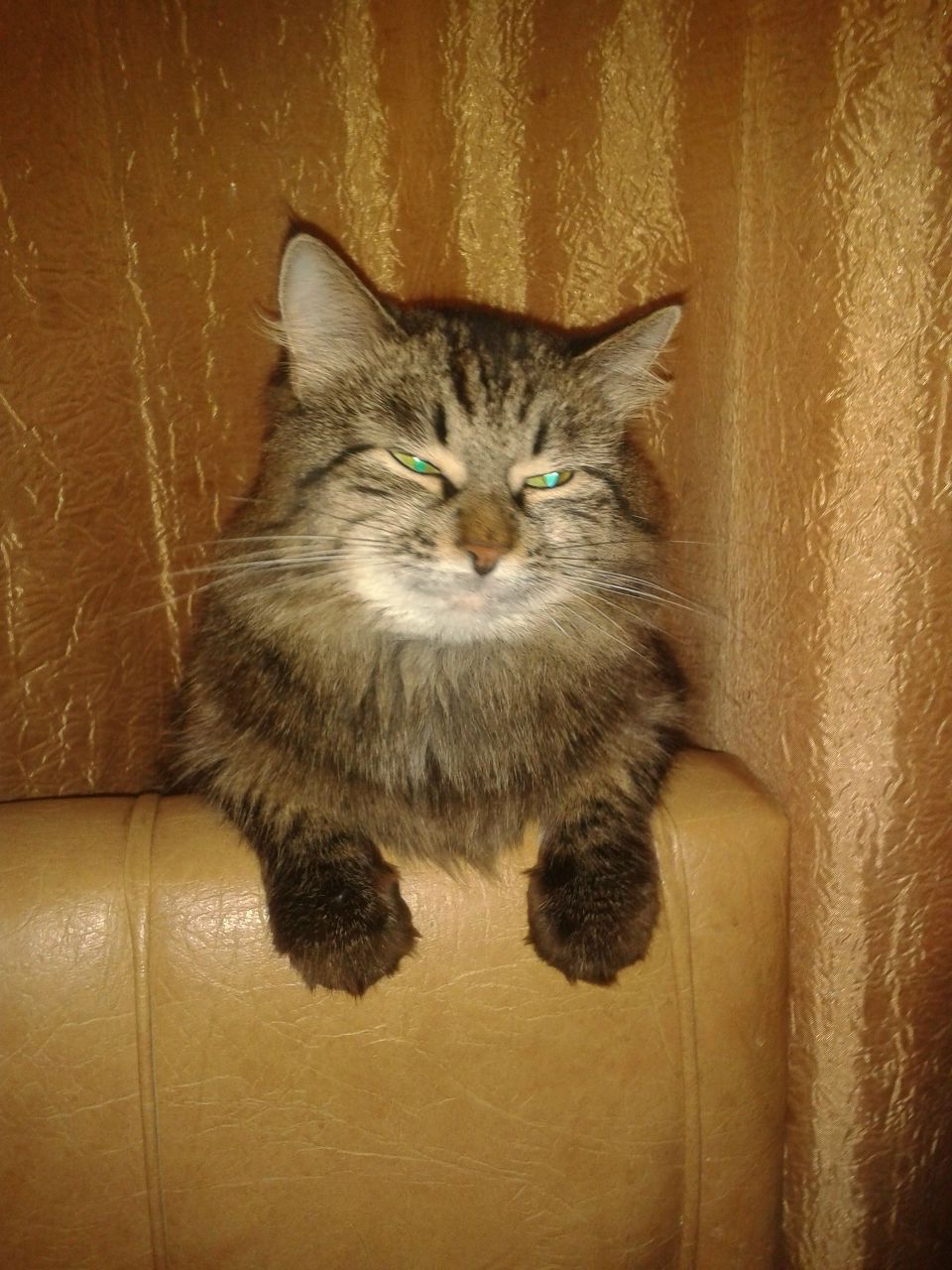 Александр Лобанов | Архангельск