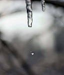 №52, Солнышко Ясное, Сургут №52, Солнышко Ясное, Сургут