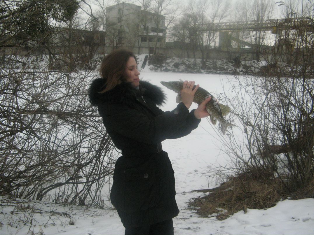 Светлана Катрошенко | Киев