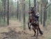 Salahutdin Miftahutdinov фотография #44