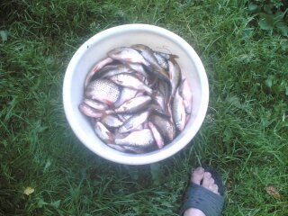 Андрей Гудков | Москва