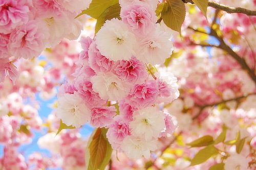 №6, Алёнка Усманова №6, Алёнка Усманова