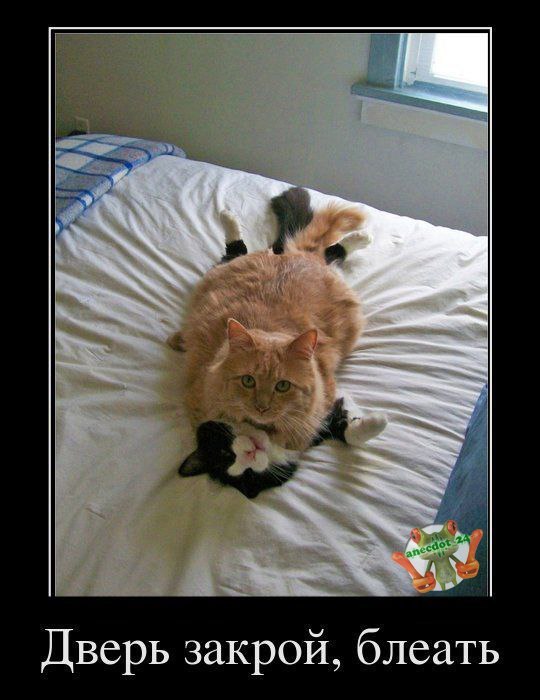 Андрейка Горнев | Новосибирск