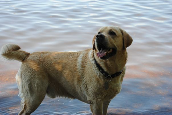 №139, Анна Герасева, 56 лет №139, Анна Герасева, 56 лет