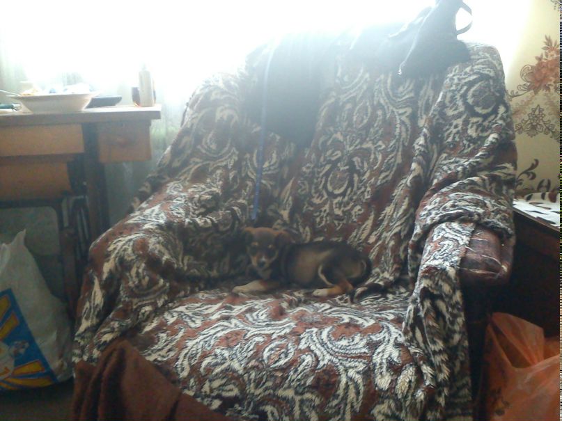 Илья Абрамов | Новокузнецк