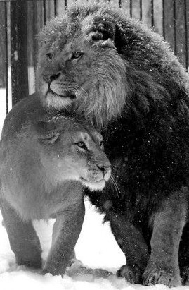 Игорь Din | Киев