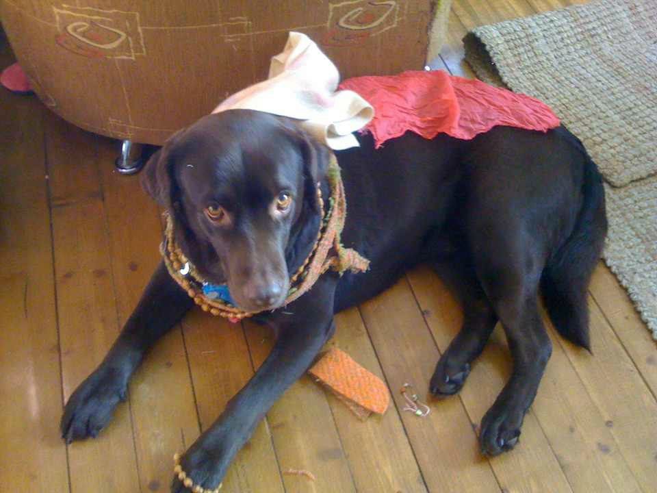 Яна Нитолкан | Санкт-Петербург