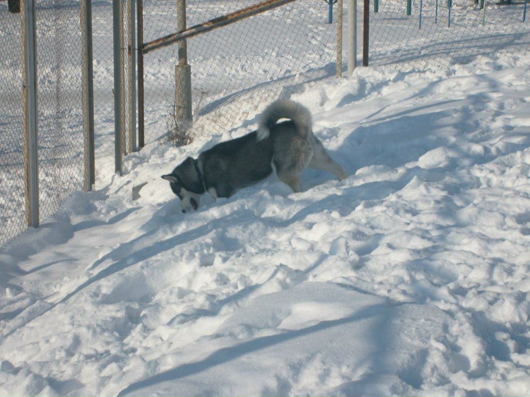 Александр Леоненко | Минск