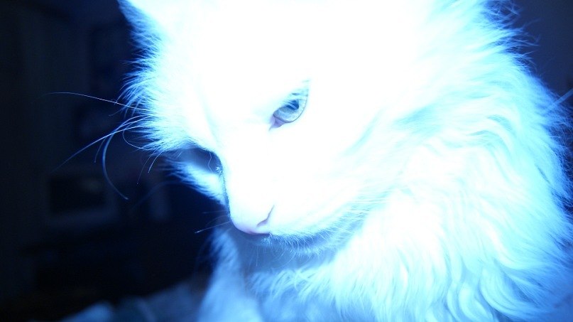 Саша Горбунов | Саратов