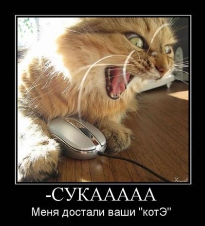 Кирилл Дюжиков | Санкт-Петербург