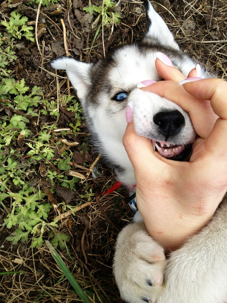 Евгения Дивисенко | Киев