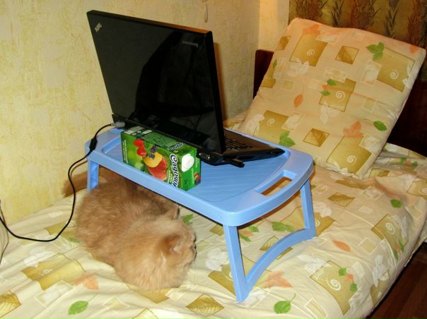 №9, Пашка Затолокин, 37 лет, Днепр (Днепропетровск) №9, Пашка Затолокин, 37 лет, Днепр (Днепропетровск)