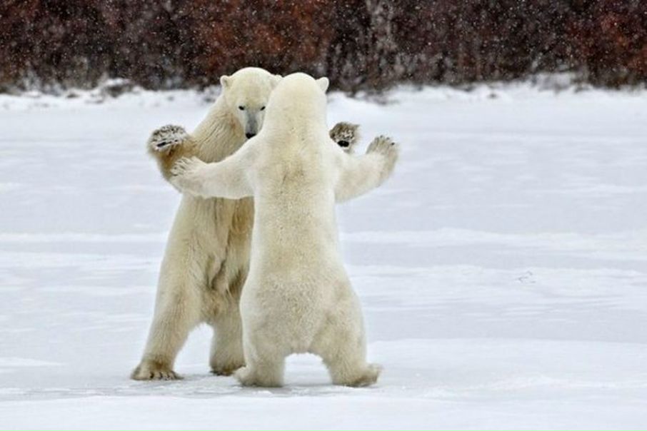 №36, Яна Добровольская, 33 года, Praha №36, Яна Добровольская, 33 года, Praha