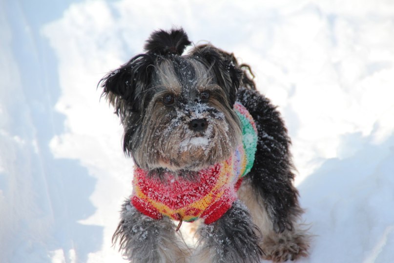 Олеся Бикбаева | Ульяновск