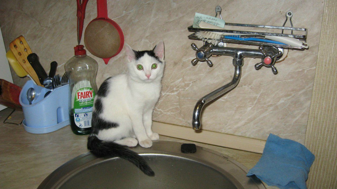 Елена Тихомирова | Санкт-Петербург