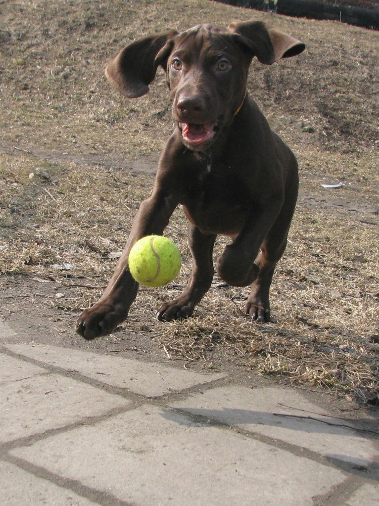 Роман Егоров | Калининград