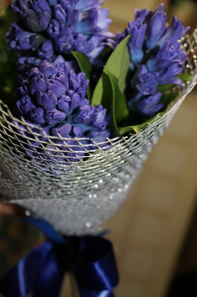 Оксана Скворцова | Москва