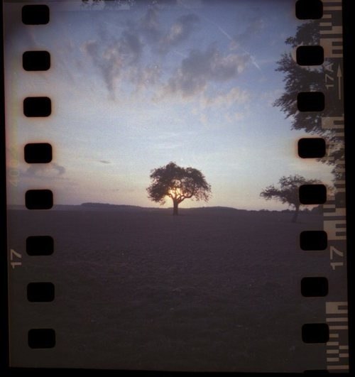 Екатерина Качалкина | Калуга