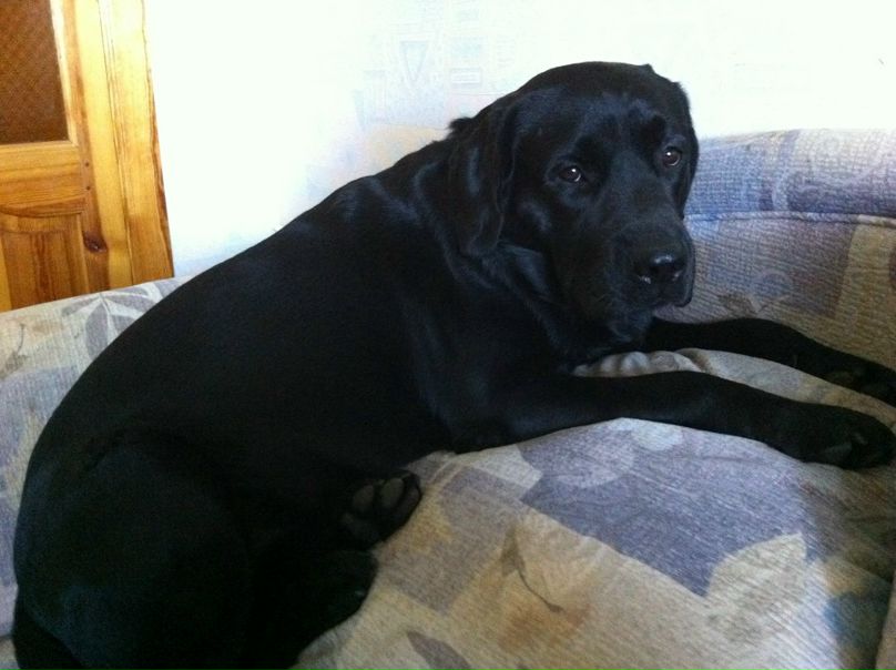 №37, Алина Данькина, Донецк №37, Алина Данькина, Донецк