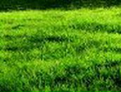 Александр Буев | Москва