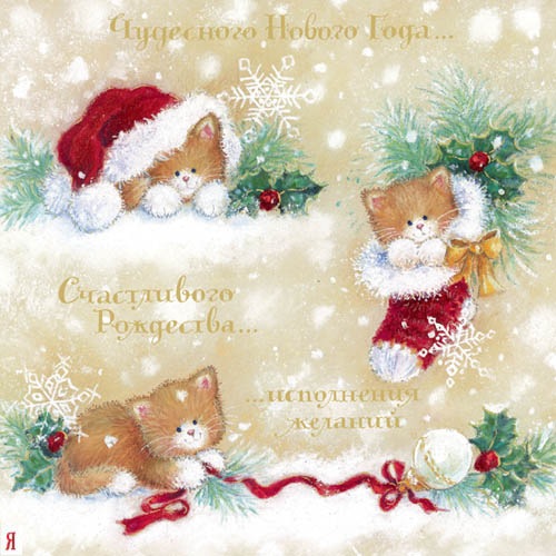 №46, Алёна Зубкова, 36 лет, Киев №46, Алёна Зубкова, 36 лет, Киев