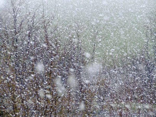 Катерина Латыпова | 