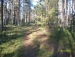 Михаил Шерстобитов фотография #15