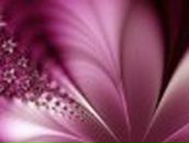 Агата Каленик | Великий Новгород