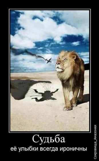 №167, Марина Шигорева, Санкт-Петербург №167, Марина Шигорева, Санкт-Петербург