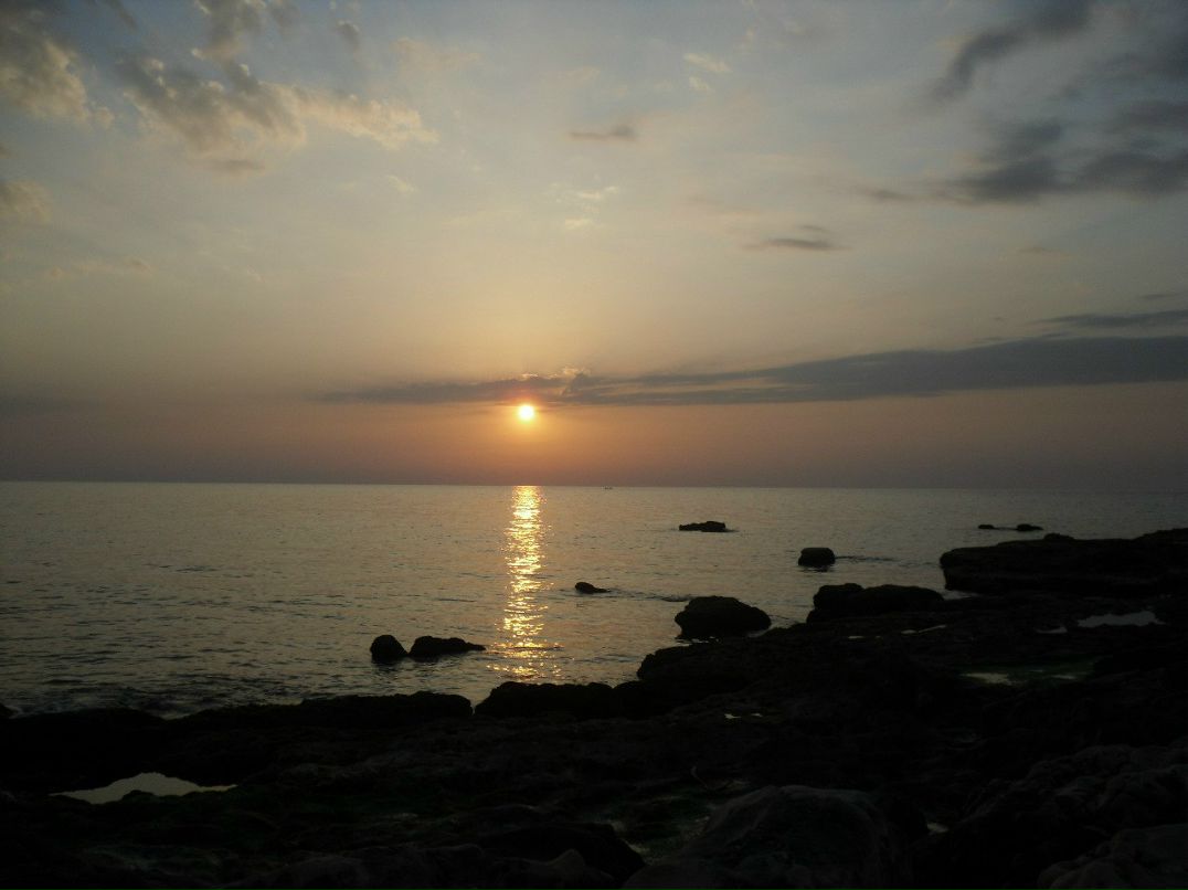 Alina Simonova | Сумы