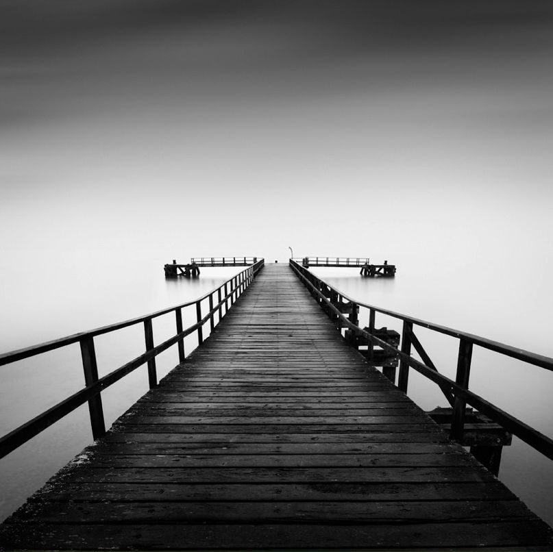 Максим Шевченко | Tampa