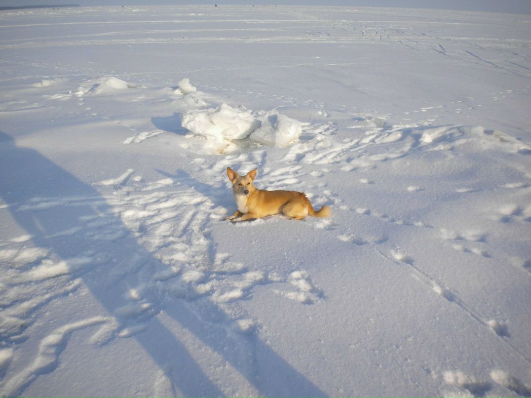 Надежда Мания | Санкт-Петербург