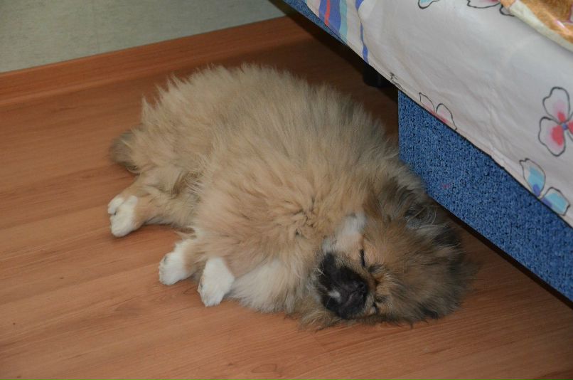 Николай Никонов _Юрич_ | Тюмень