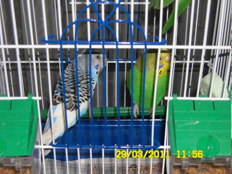 Сергей Иванцов сергеевич | Климовичи