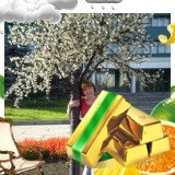 White Cat | Новокузнецк