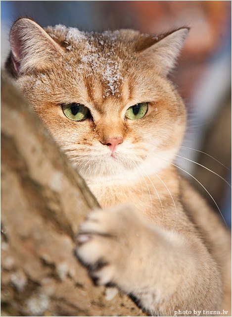 Ирина Бойчук ♡ | Самара