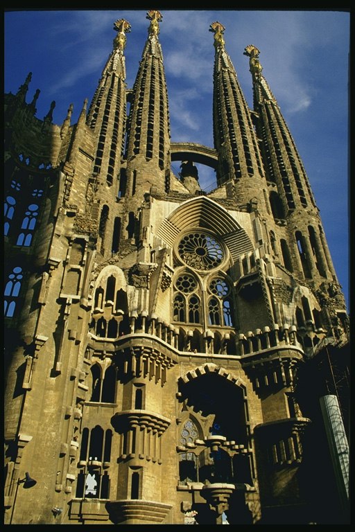 Дмитрий Анатольевич ЛЕВ | Новосибирск