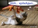 Фотография Сенина Вовы