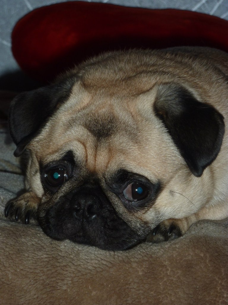 Алёнка Иванова | Рязань