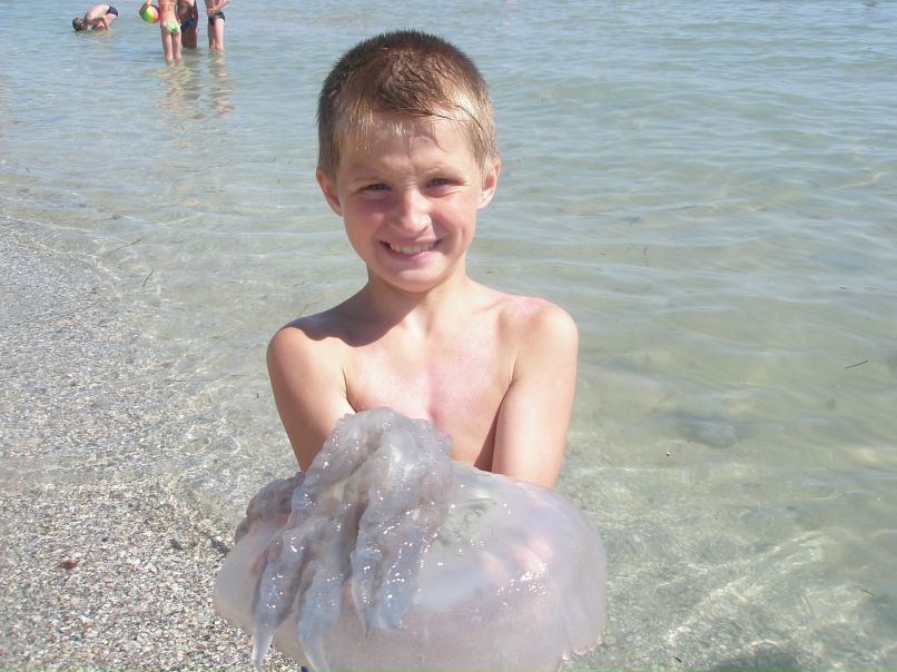 Максим Савельев | Кола