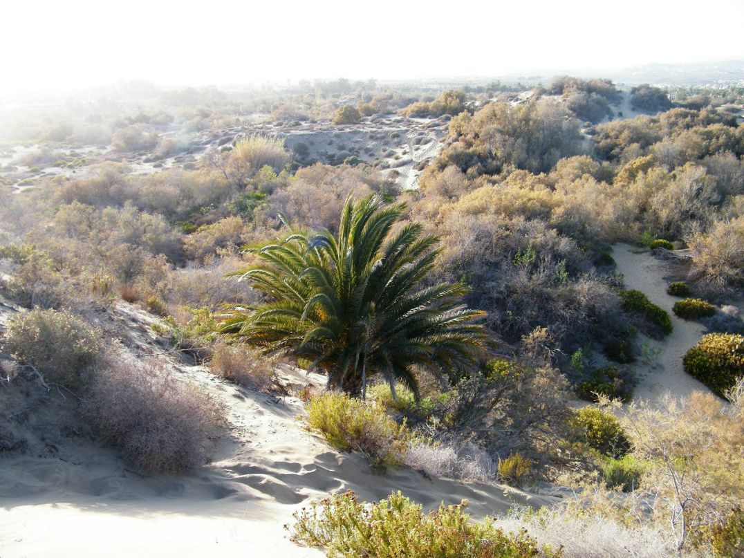 Елена Алексеева | Чебоксары