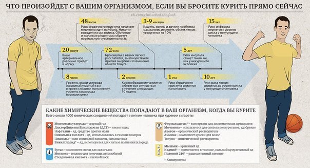Анатолий Шева | Николаев