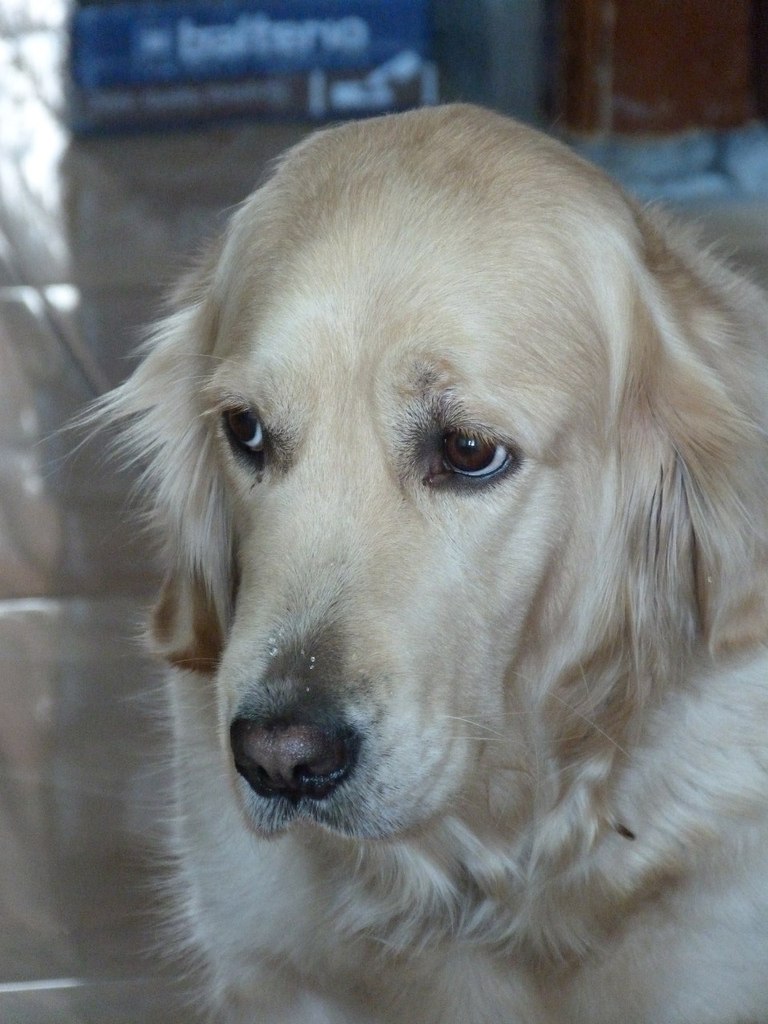 Инна Козич | Апатиты