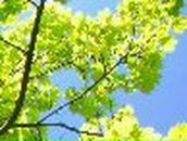 Настя Доморацкая | Новодвинск