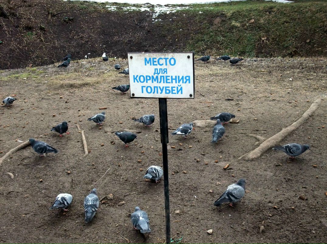 Ольга Чигина | Нижний Новгород